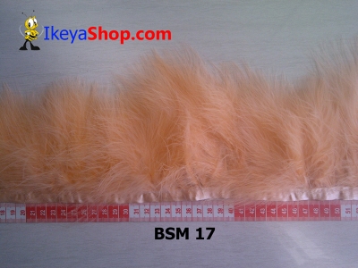 BSM 17  large2